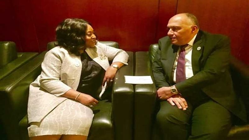 سامح شكري يبحث مع