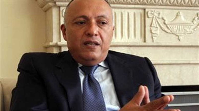 شكري يؤكد علي اهمية