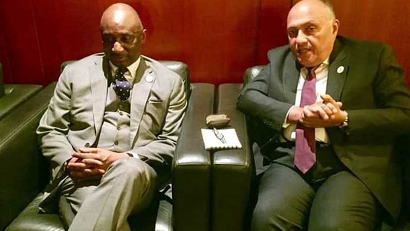 شكري يؤكد دعم مصر