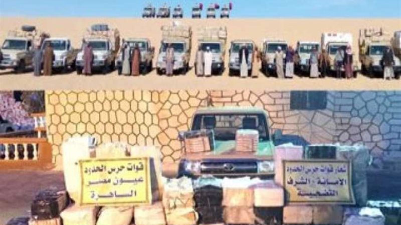 قوات حرس الحدود تحبط