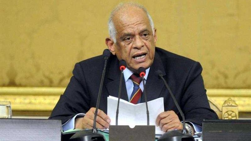رئيس البرلمان: مصر
