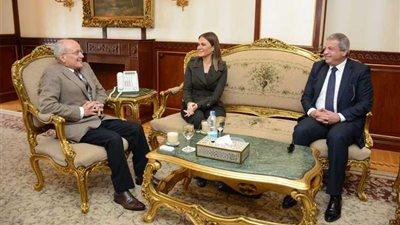 3 وزراء يتفقدون مصنع النجيل الصناعي.. وبروتوكول تعاون لإنشاء مركز شباب الأسمرات