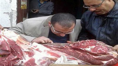 47 مليون جنيه لتطوير 26 مجزرا بالقليوبية