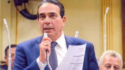 نائب لوزير الصناعة: هل نعجز عن تصنيع طعام الكلاب فنستورده بالدولار؟