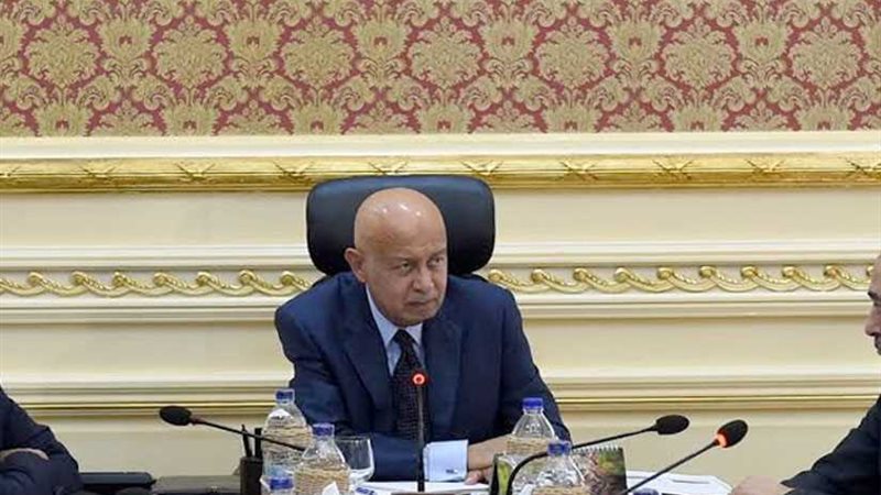 رئيس الوزراء يستعرض