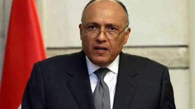 شكرى: إقامة الدولة الفلسطينية المستقلة يحقق طموحات الشعب