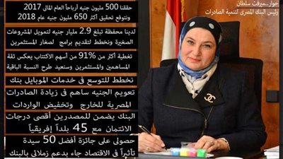 رئيس البنك المصري لتنمية الصادرات: حققنا 500 مليون جنيه أرباح في 2017