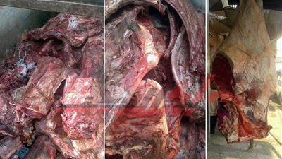 ضبط 7 حمير مذبوحة قبل توزيعها بالخانكة (صور)