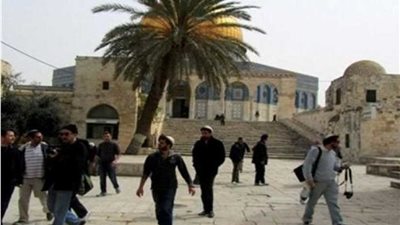 مستوطنون يهود يقتحمون منطقة المسعودية الأثرية بنابلس