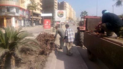 حملات مكبرة لرفع كفاءة النظافة بمدينة دمنهور (صور)