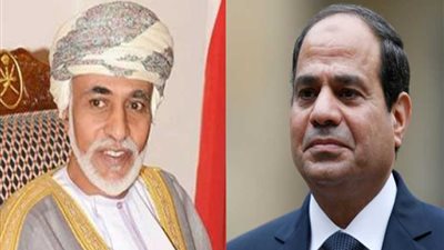سفيرنا في عمان: لقاء السيسي وقابوس سيحدث تأثيرا إقليميا (فيديو)