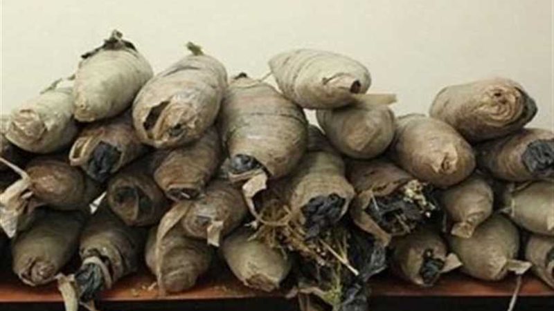 مكافحة المخدرات تضبط