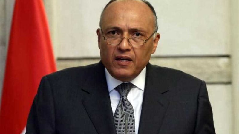 شكرى: إقامة الدولة