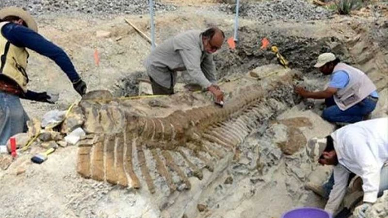 سي إن إن: اكتشاف