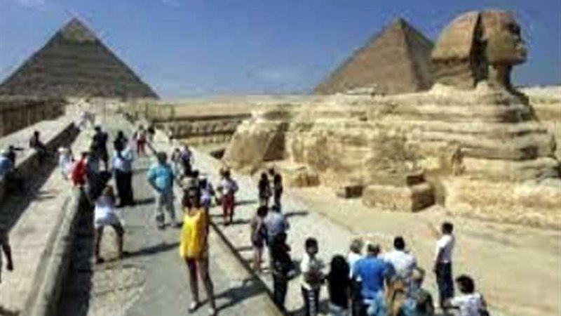 خلال 12 يوما.. 173