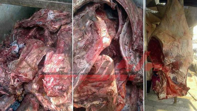 ضبط 7 حمير مذبوحة