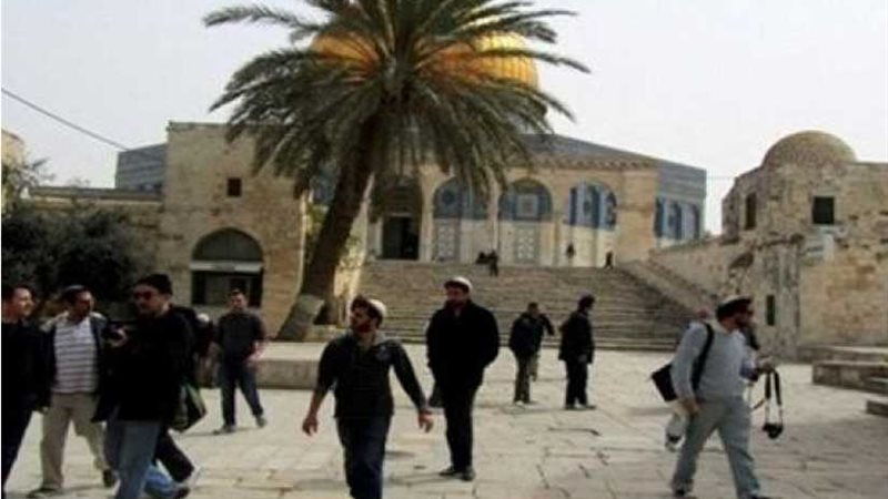 مستوطنون يهود يقتحمون