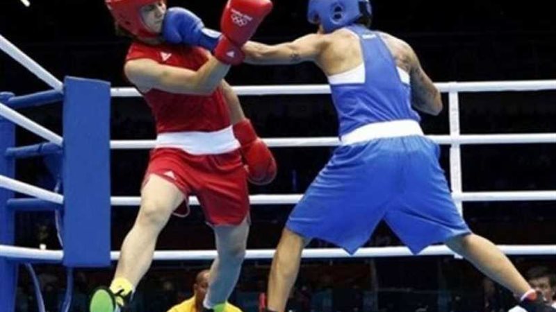 المصري محمد علي يخسر