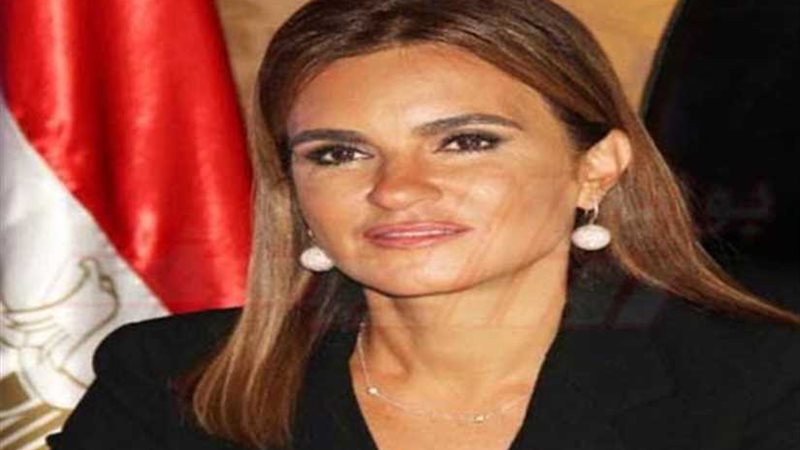 الخريطة الاستثمارية..