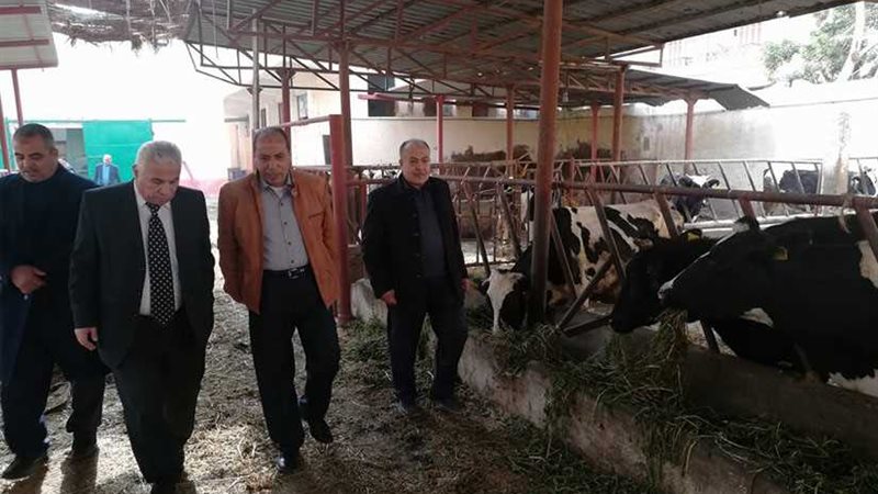 مدير تعليم البحيرة