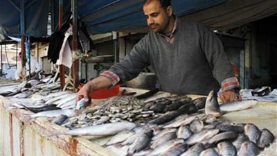 سوق السمك المتطور على بحيرة الصيادين بالإسماعيلية بـ23 مليون جنيه