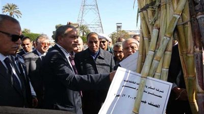 وزير التموين: دواجن المجمعات الاستهلاكية صالحة حتى مارس