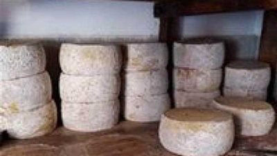 ضبط 4 أطنان ألبان و250 كيلو جبن 