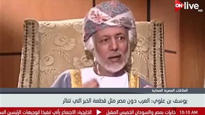 وزير الشؤون الخارجية العماني: مصر زعيمة العرب وهم بدونها لا شيء (فيديو)
