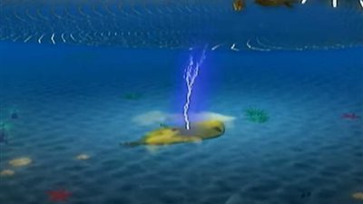 حاول اصطياد الأسماك بالصعق فمات