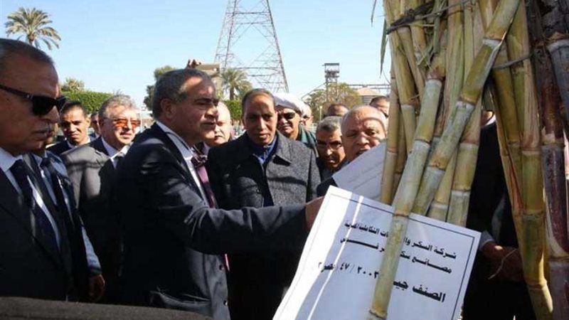 وزير التموين: دواجن