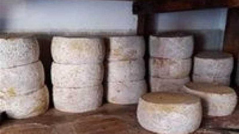 ضبط 4 أطنان ألبان