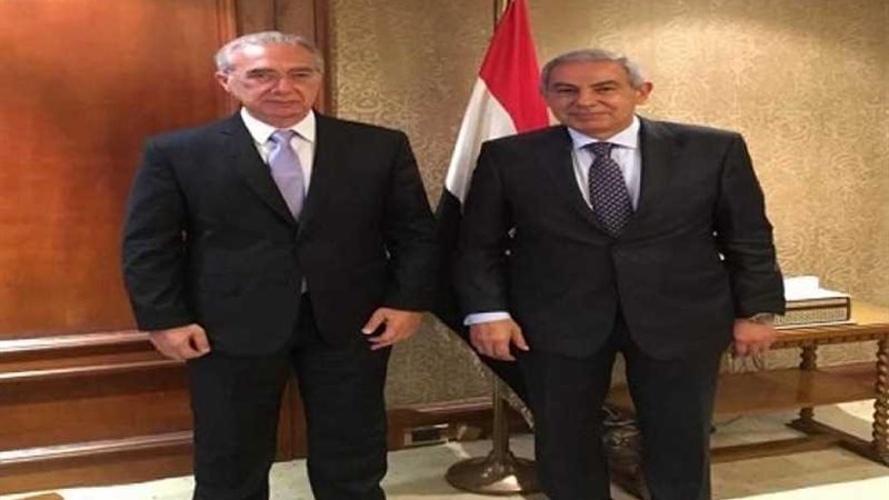 العربية البرازيلية