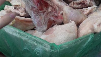 ضبط 1.5 طن لحوم وأسماك فاسدة بحملة في شبين القناطر