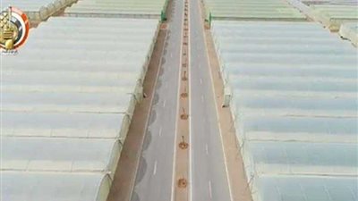بث مباشر.. السيسي يفتتح عددًا من الصوب الزراعية ومشروعات تنموية في مطروح
