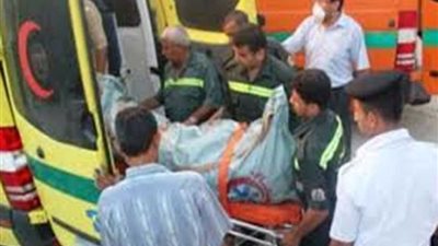 جزار البساتين ذبح زوجته وابنته.. وحاول الانتحار