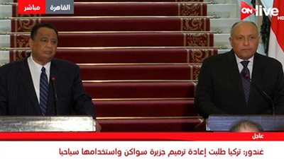 وزير الخارجية السوداني: الطريق ممهد لعودة سفيرنا لمصر (فيديو)