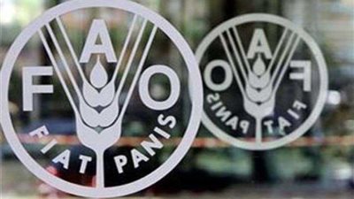 لمواجهة المجاعة.. صندوق 