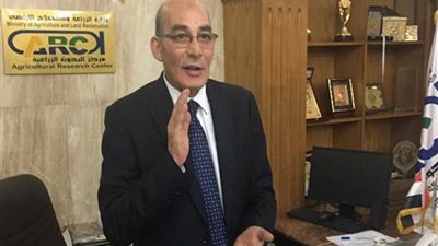 الزراعة تحظر زراعة القطن بعدد من المناطق