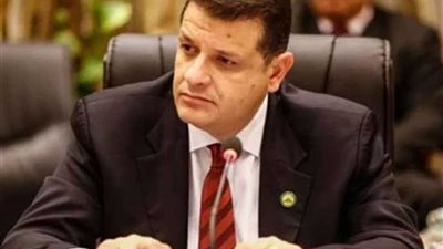 رضوان: تركيا تسعى للتأثير على مكاسب مصر وقبرص