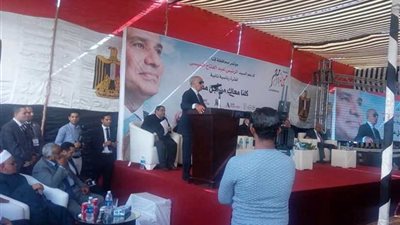 عضو بالوطنية للإعلام: دعم السيسي واجب وطني