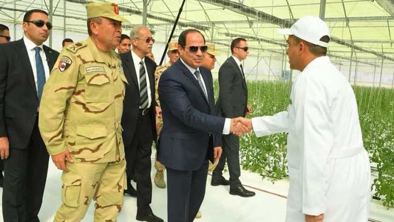 صفحة الرئيس السيسي