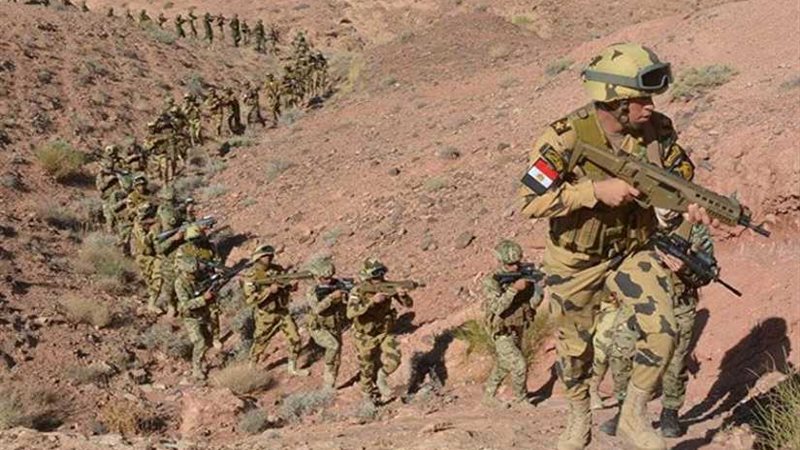 قومي المرأة بالمنيا