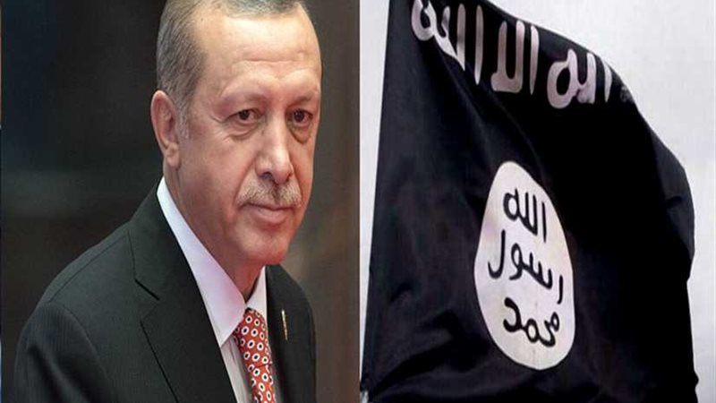 صحيفة بريطانية: تركيا