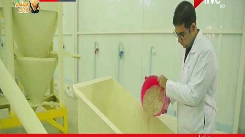 دور الإفريقي للتنمية