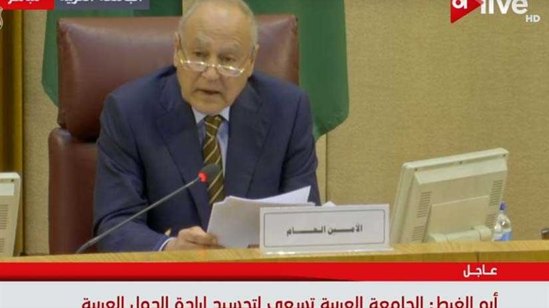 أبوالغيط: مجتمعاتنا