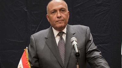 شكري يبحث مع