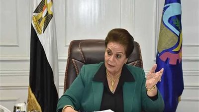 وزير التنمية يشيد بجهود 