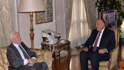 شكري يبحث مع عزام الأحمد تطورات المصالحة الفلسطينية