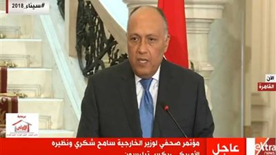 سامح شكري: سنجري مشاورات بين خارجية ودفاع مصر وأمريكا لمزيد من الانطلاق في علاقتنا (فيديو)