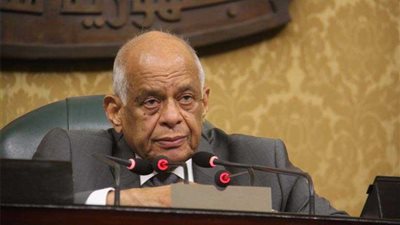 رئيس النواب: محاولات لهدم مؤسسات الدولة بالتستر خلف حرية التعبير